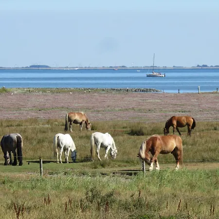 Haus Carl-stegmann 291 - Carls Ausblick *