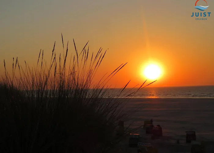 Lejlighed Haus Carl-stegmann 291 - Carls Ausblick Juist